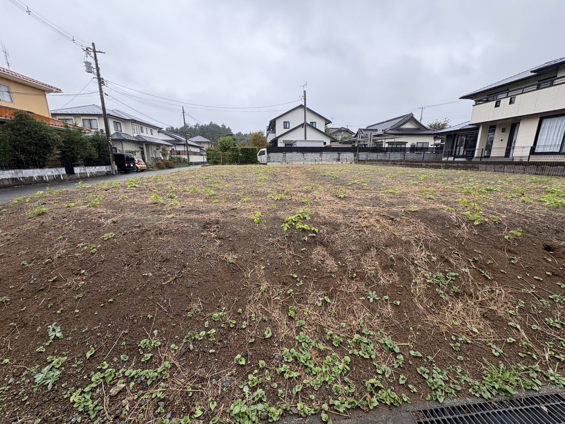 第141号 : サムネイル